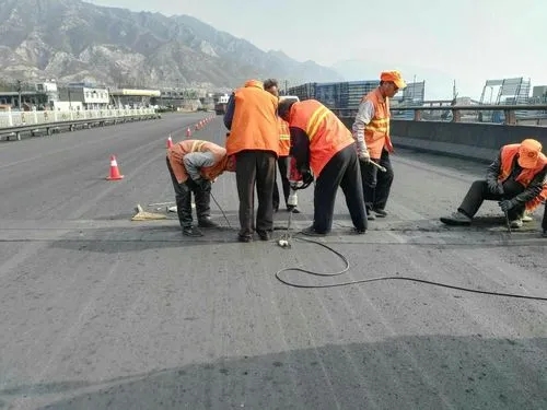 东区道路桥梁病害治理